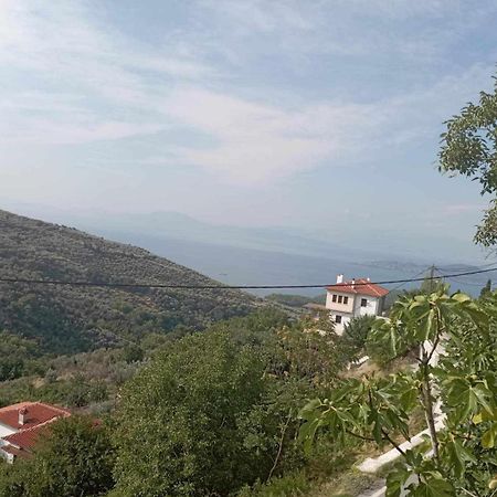 Katochori Villa Stefanos מראה חיצוני תמונה