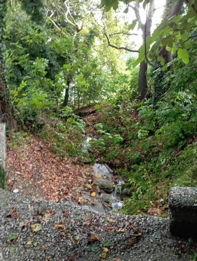 Katochori Villa Stefanos מראה חיצוני תמונה